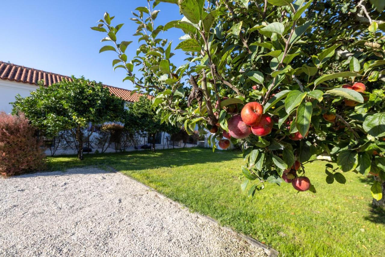 Casa Da Lagoa E Forja - Turismo Rural ミラ エクステリア 写真